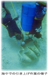 ジャンボシャコ貝の物語 | 石垣島ショッピングプラザ
